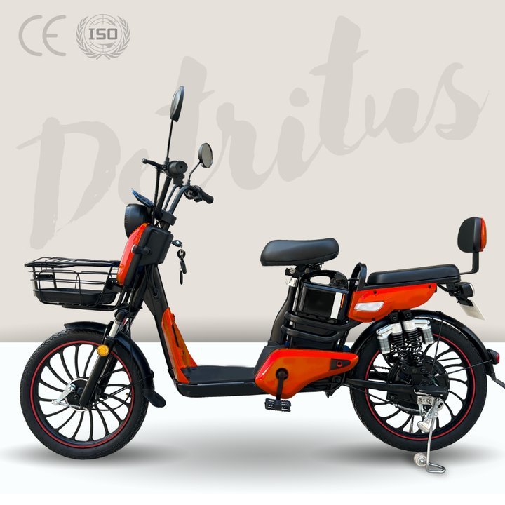 Factory direct sales two wheels 800W 60V 20Ah bicycle High Quality electric bike Electric City Bike Used for work and school