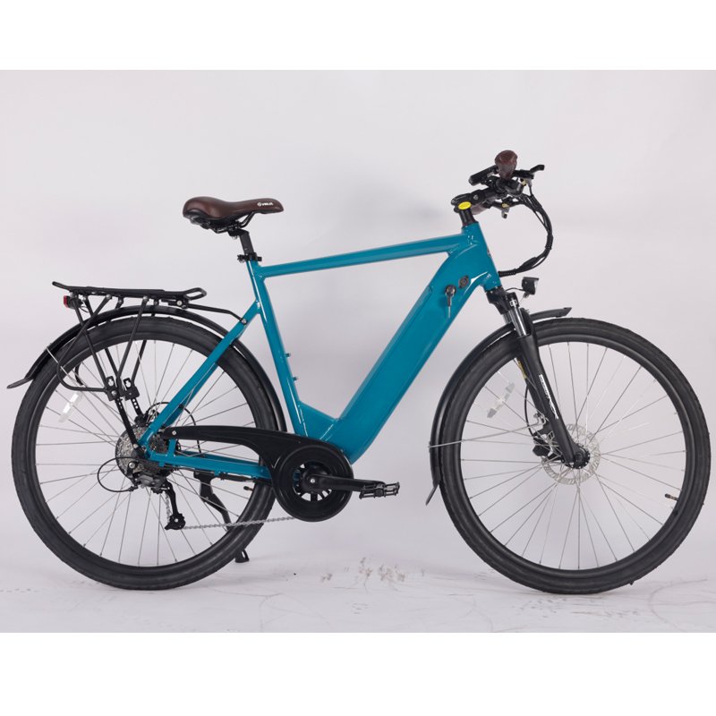 9 Speed 28 Inch 250W Electric Mid Motor Mountain Bike Samsung Lithium Battery 15Ah