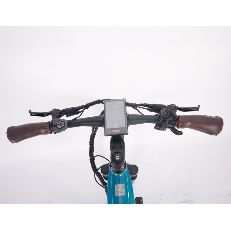 9 Speed 28 Inch 250W Electric Mid Motor Mountain Bike Samsung Lithium Battery 15Ah