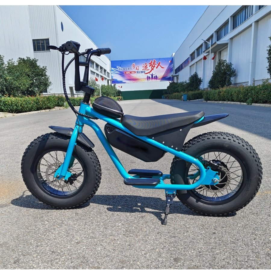 Electric Dirt Mountain Folding Ebike Steel Lithium Battery LCD Display 36V 48V Fat Tire Electric Bike