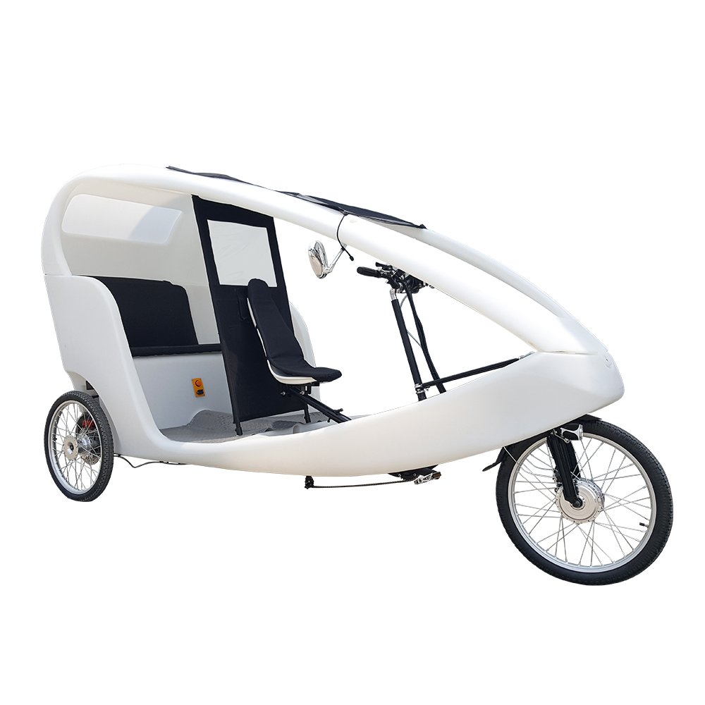 1000W Power Passenger City Taxi Bike Three Wheels Electric Cycling Pedicab Rickshaw