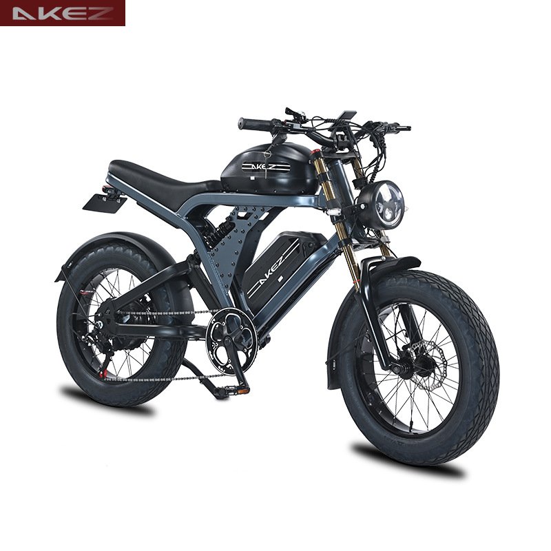 Wholesale 20*4.0 inch wheel 1500W 48V 36 41 55 ah snow off-road mountain bicycle electric hybrid fat tire dirt bike for adult