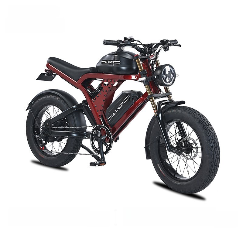 Wholesale 20*4.0 inch wheel 1500W 48V 36 41 55 ah snow off-road mountain bicycle electric hybrid fat tire dirt bike for adult