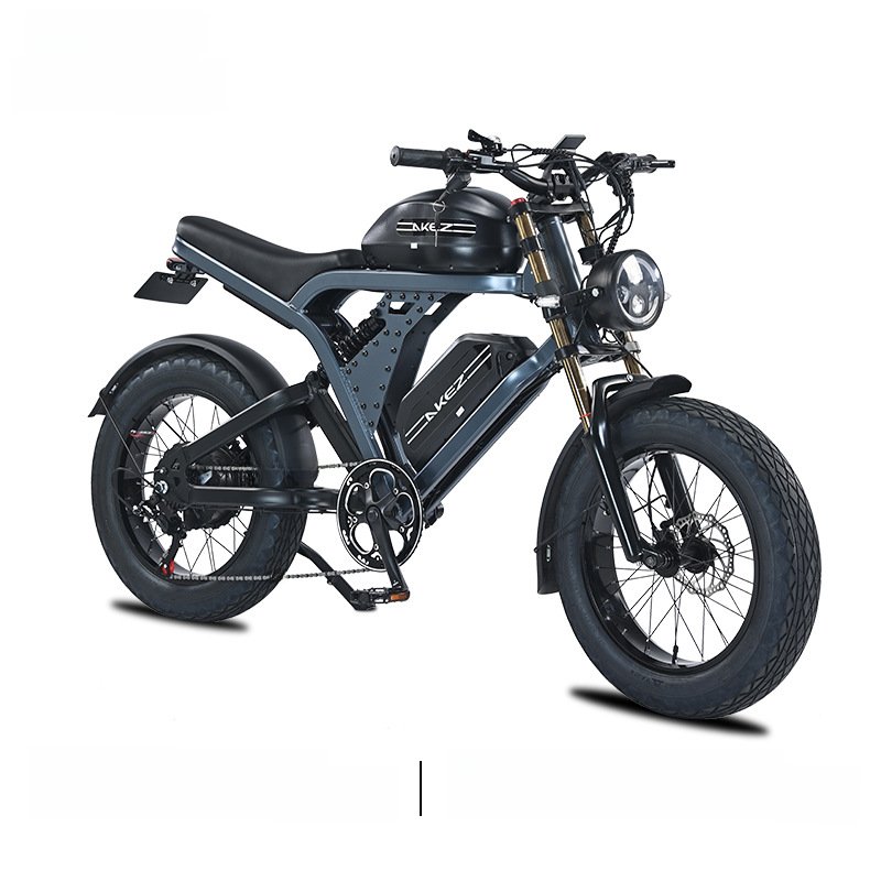 Wholesale 20*4.0 inch wheel 1500W 48V 36 41 55 ah snow off-road mountain bicycle electric hybrid fat tire dirt bike for adult