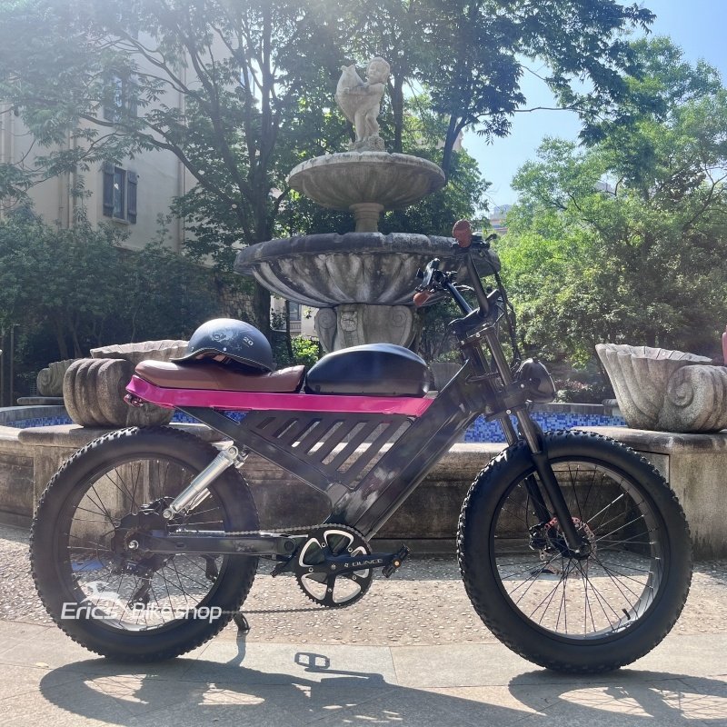 New Arrival Electric Beach Cruiser Bicycle Two Wheel Cheap Electric Bicycle Electric Bicycle Mountain Bike
