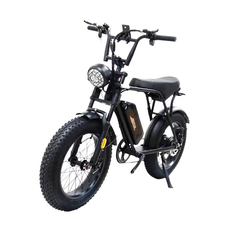 Hot Selling 2000W Dual Motor Hydraulic Brake Lithium Battery 500W Full Suspension Fat Tire Electric bicycle Electric City Bike