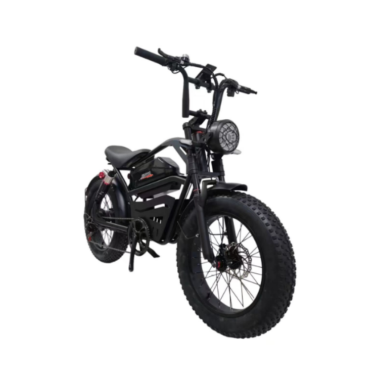Hot Selling 2000W Dual Motor Hydraulic Brake Lithium Battery 500W Full Suspension Fat Tire Electric bicycle Electric City Bike