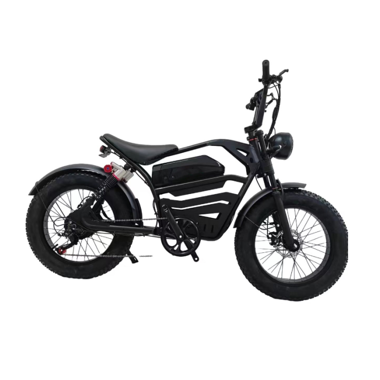 Hot Selling 2000W Dual Motor Hydraulic Brake Lithium Battery 500W Full Suspension Fat Tire Electric bicycle Electric City Bike