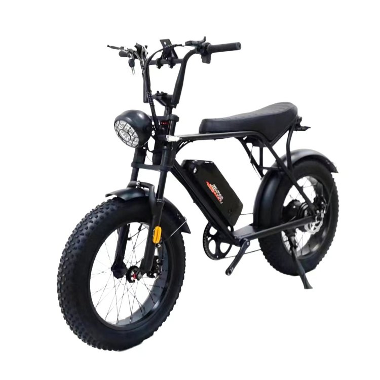 Hot Selling 2000W Dual Motor Hydraulic Brake Lithium Battery 500W Full Suspension Fat Tire Electric bicycle Electric City Bike