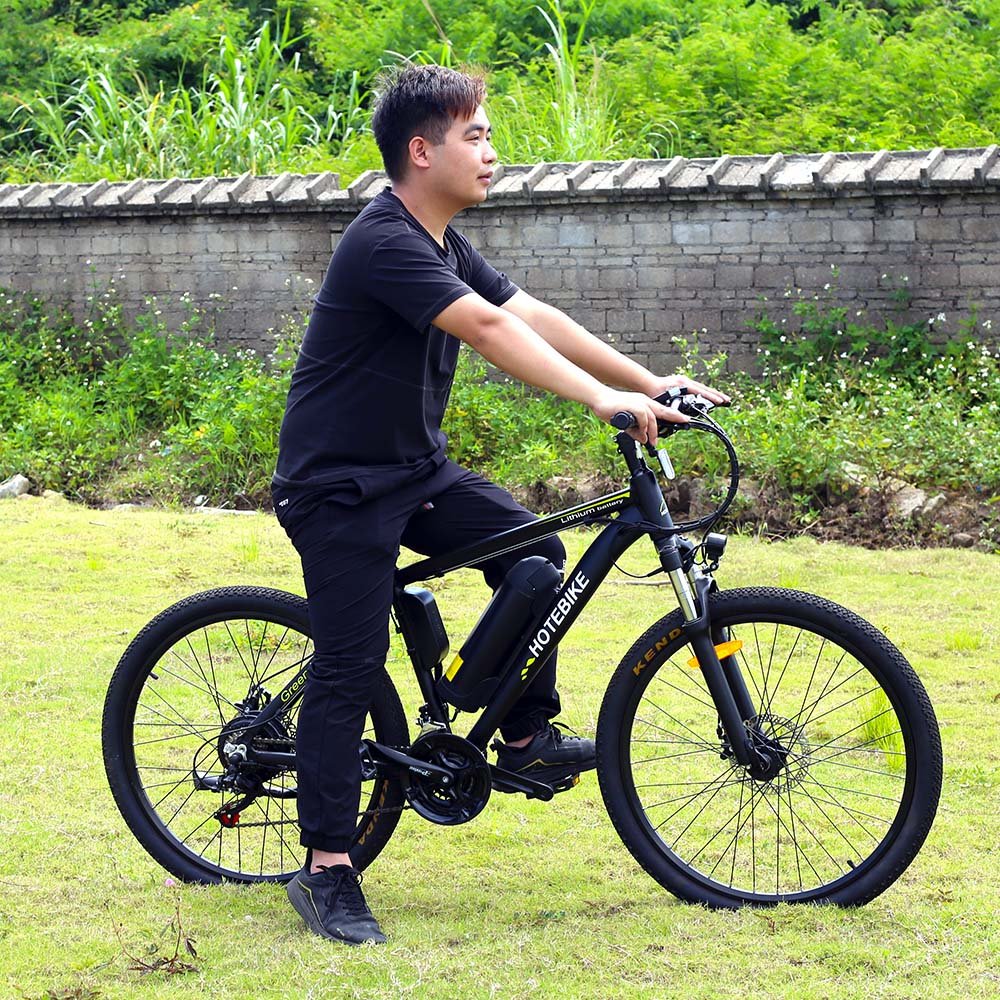 Chinese Cheap alloy E Cycle Mountain Electric Bike 36v 250w 350w 48v 500w electro bikes