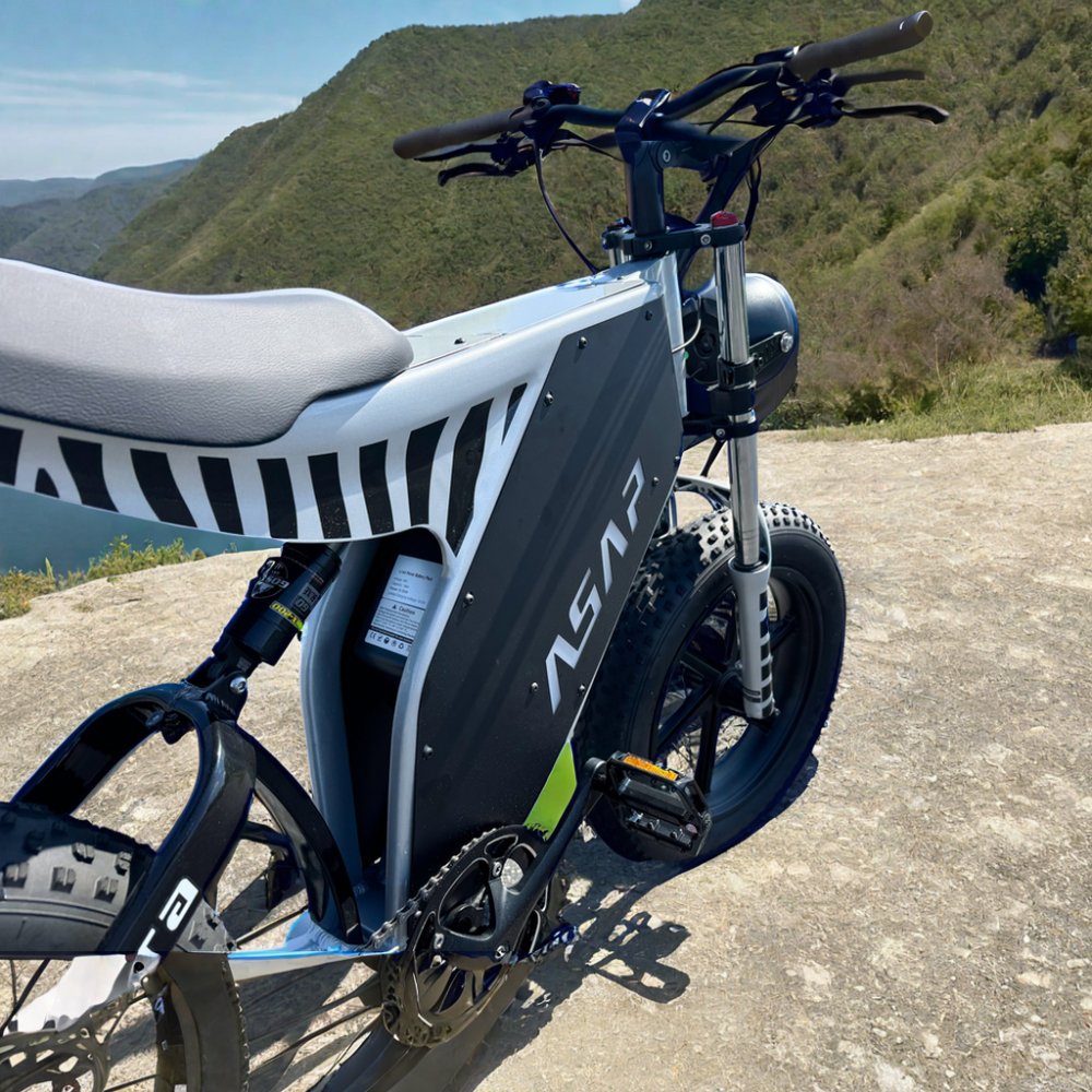 High Power 1000W Motor Removable Battery Hydraulic Brake Fast Delivery Electric Mountain Bike Adults