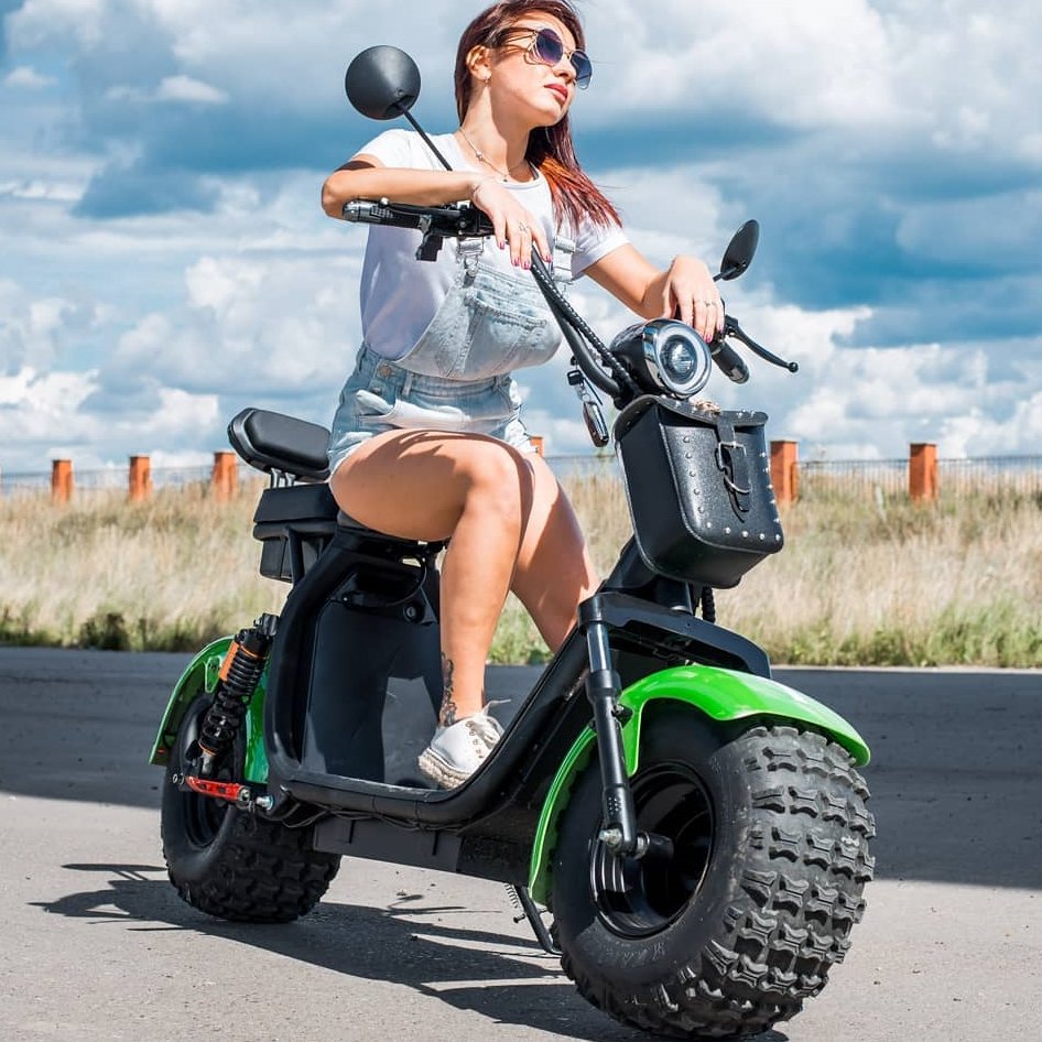 Off Road All-Terrain App Electric Scooter Steel Material Hot Sale Citycoco For Men And Women