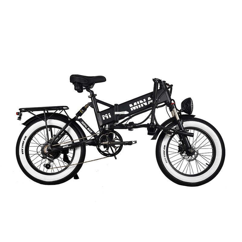 Hot Sell M1 Pro 20 inch 48V 12.8Ah mountain foldable 750w High Speed Rear Drive Brushless Gear Hub fat tire electric bike