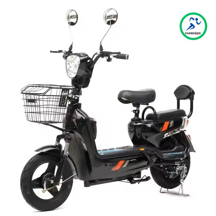 Cheapest Adult Electric Bike Lead Acid Battery Electric Bicycle 350w Family Cargo Electric Bike With Basket Rear Rack