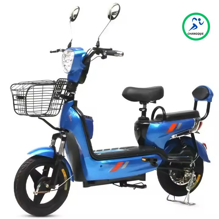 Cheapest Adult Electric Bike Lead Acid Battery Electric Bicycle 350w Family Cargo Electric Bike With Basket Rear Rack