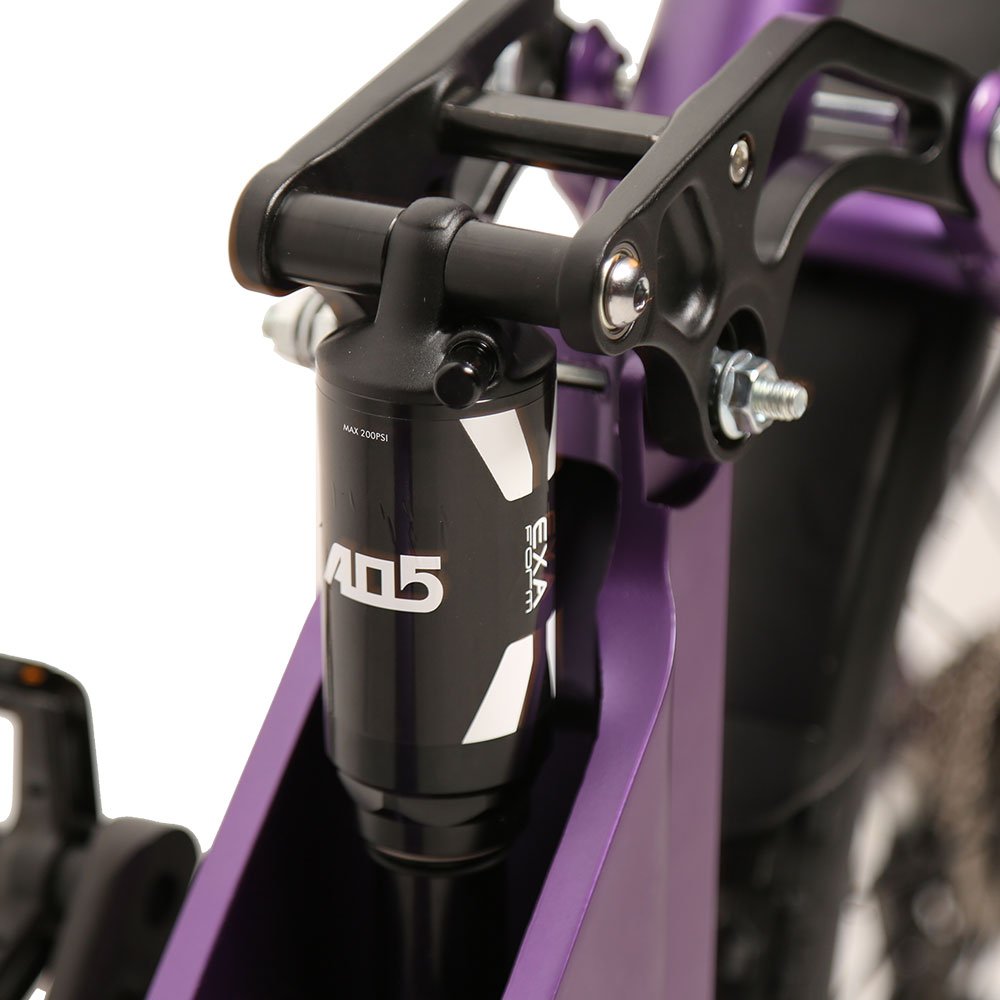 TXED 27.5 inch fat tire electric road bike 250W Central Motor Mountain Style Electric City Bicycle