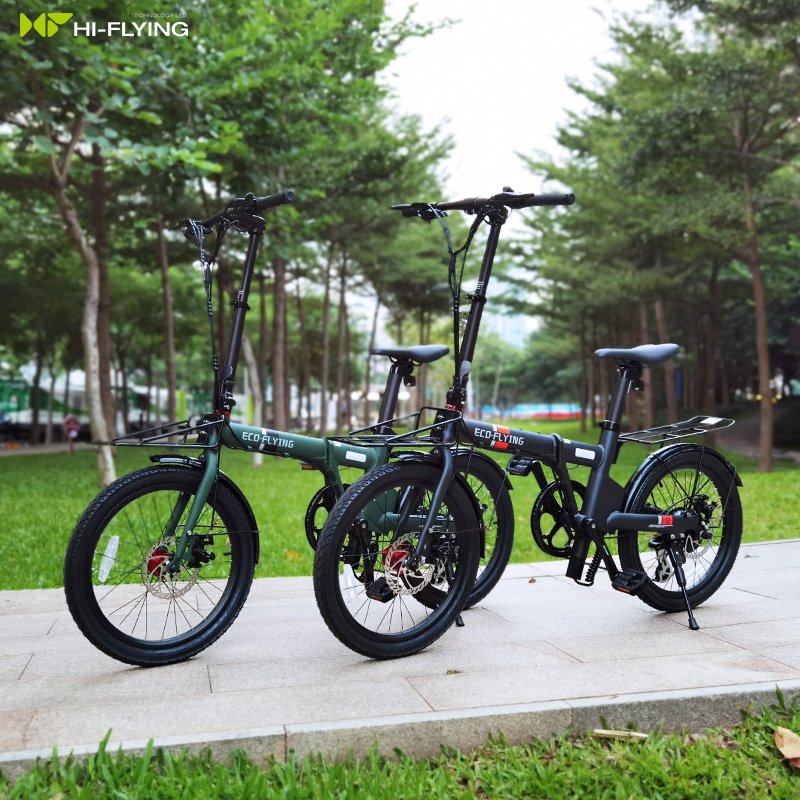 ECO-FLYING E-bike 36V 250W 7-14Ah Battery Fold Electric Bicycle 20inch KENDA Tire Fast Folding Adult Electric Bikes City Cycle