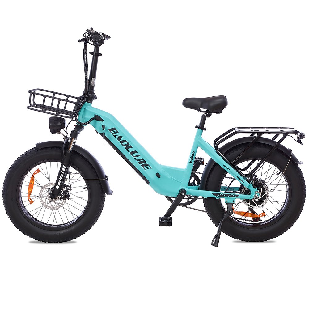Factory Supply Electra Bikes 750W 48V 13AH Electric Mountain Bikes All Terrain Fat Tire Electric Bike For Adult