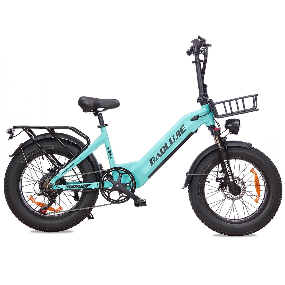 Factory Supply Electra Bikes 750W 48V 13AH Electric Mountain Bikes All Terrain Fat Tire Electric Bike For Adult