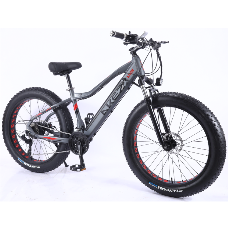 MTBGOO 2022 New product alloy frame 26 inch 21 speed electric bike fat tyre bicycle for adult