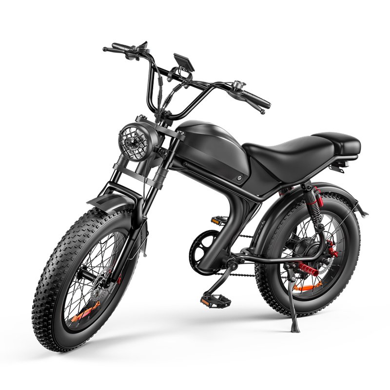 Wholesales Electric City Bike EU USA Warehouse Fat Tire Electric Mountain Bike 1000W 48V 20Ah E bike for Adult