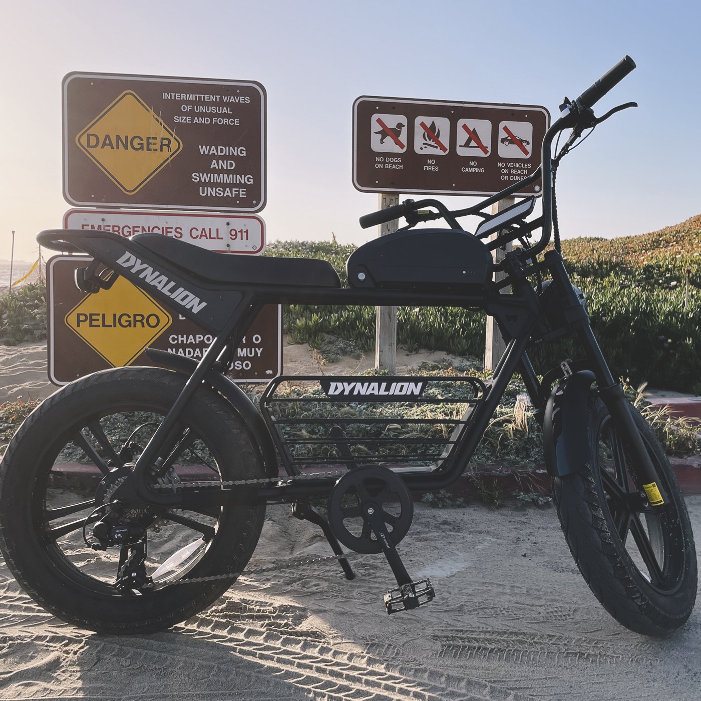 1000W 48V 16Ah Electric Bicycle E-Mountain Bike Off Road Electric Fat Tire Bicycle E-Bikes Hybrid E-Mountain Bike