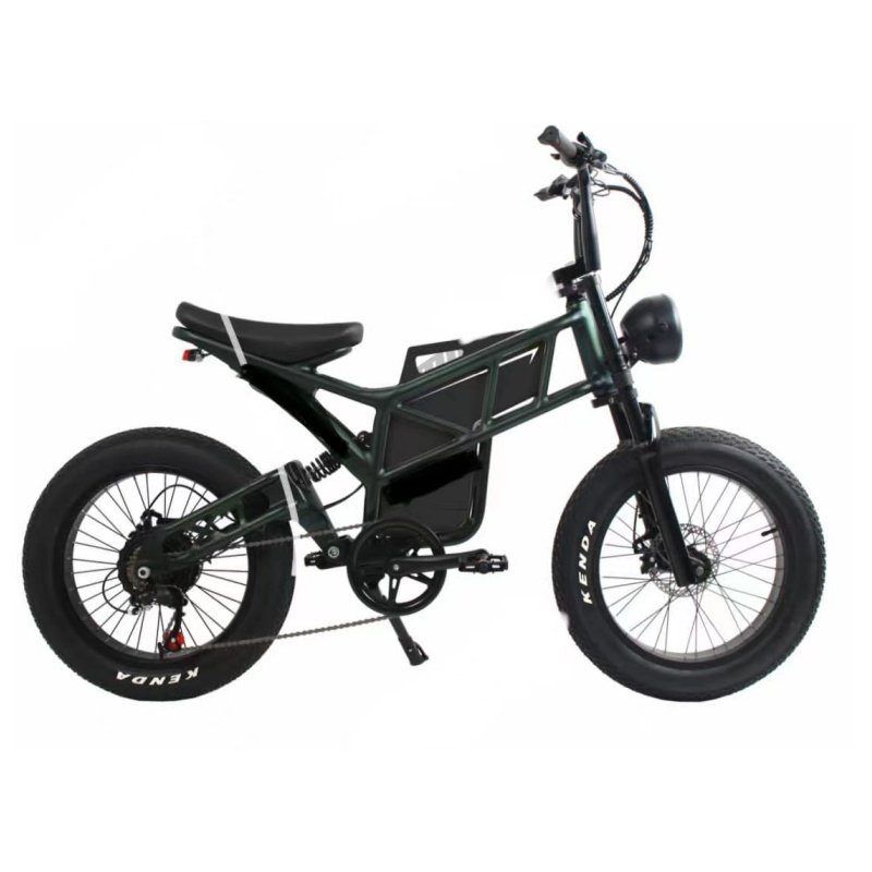 60v 2000w Pedal Assist E Power Battery Man Electric Mountain Bike Adults Ebike Best Electric Bicycle for Sale Cycle 48v 1500w