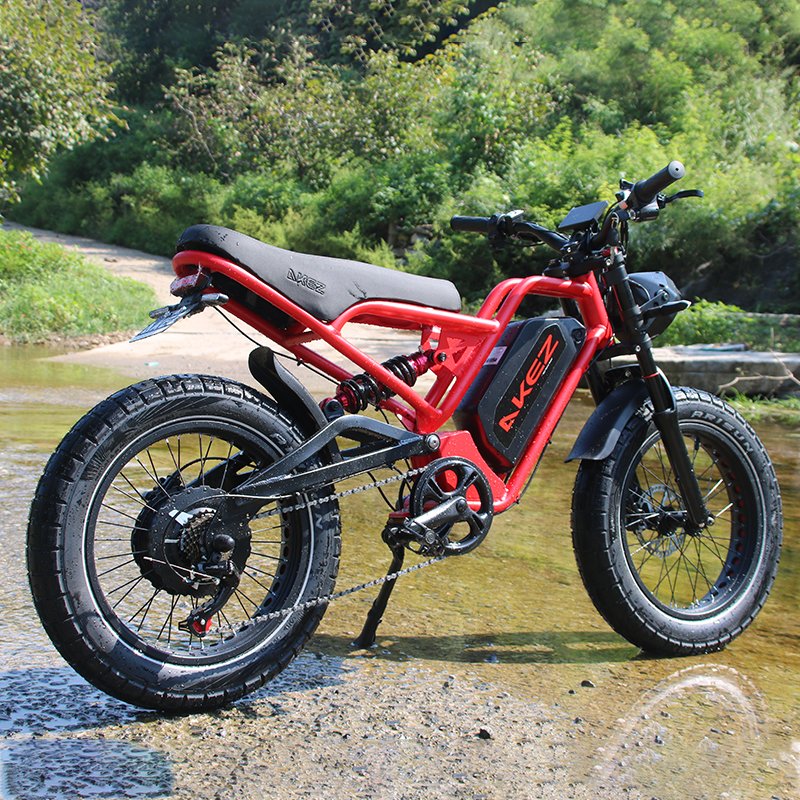 Factory Upgrade 52V1500W 20Ah 20inch fat tires electric city bike long range battery full suspension mountain ebike