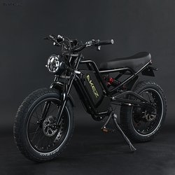 750W13Ah