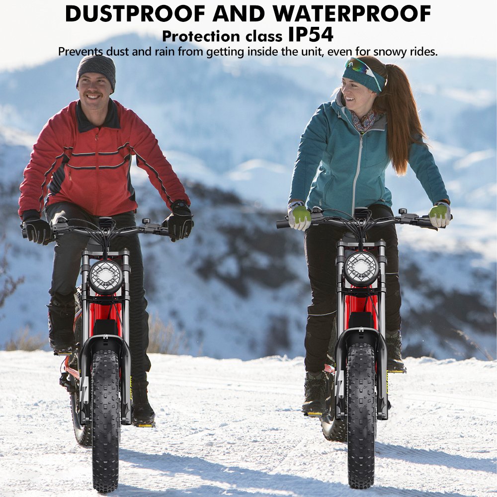 2024 Good Quality Aluminium Alloy Bicycle Electric Hidoes B6 2 Wheel Electric Fat Tire Bike 20inch Mountain Bicycle