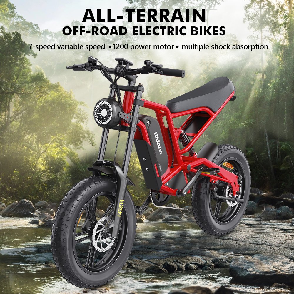 2024 Good Quality Aluminium Alloy Bicycle Electric Hidoes B6 2 Wheel Electric Fat Tire Bike 20inch Mountain Bicycle