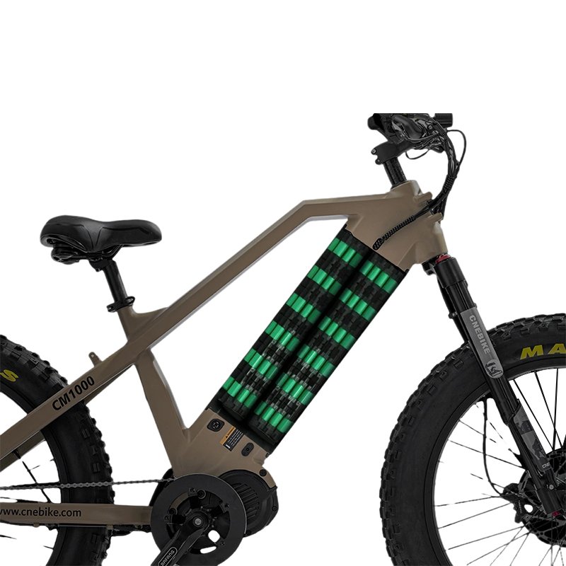 Hot Sale 48v 1000w Electric Hybrid Bike Fat Tire Electric Mountain Bike
