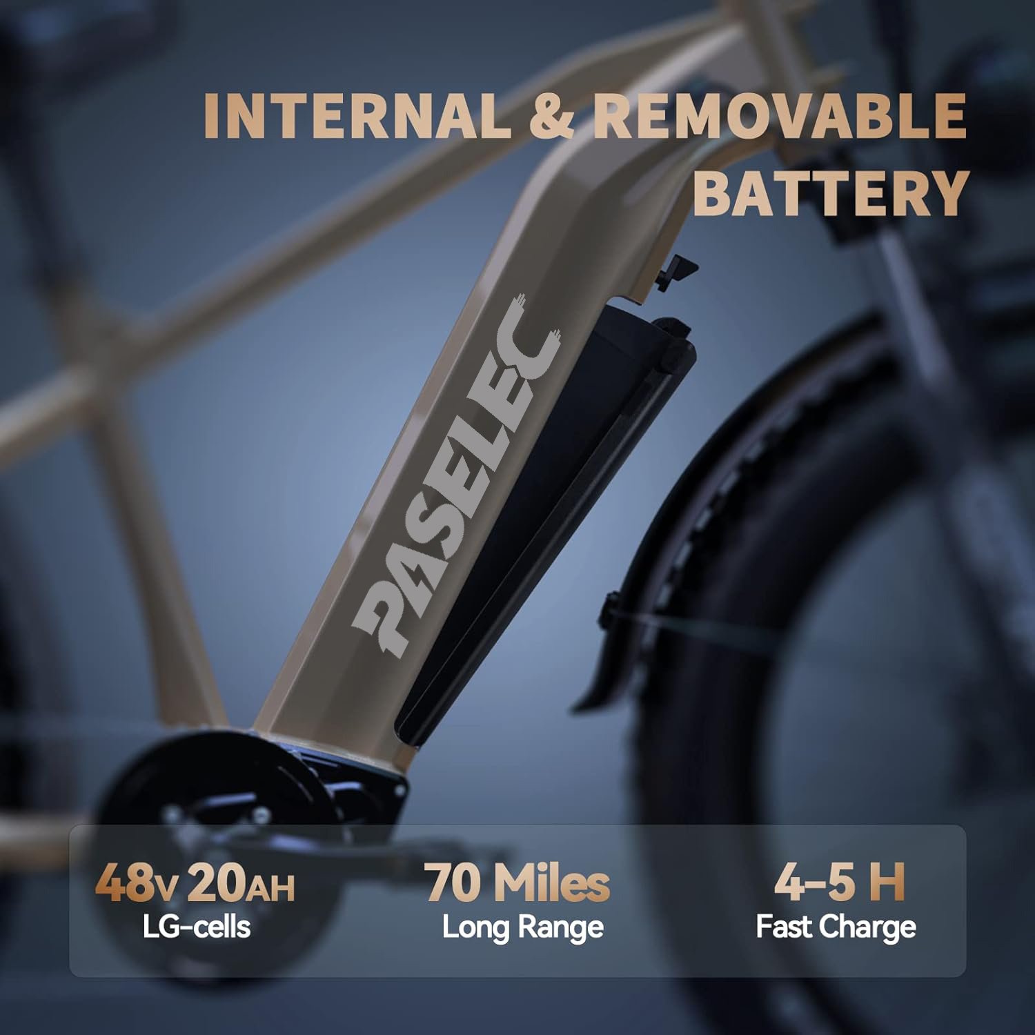 Powerful 750W motor electric bike 20ah battery fat tire electric mountain bicycle for adults