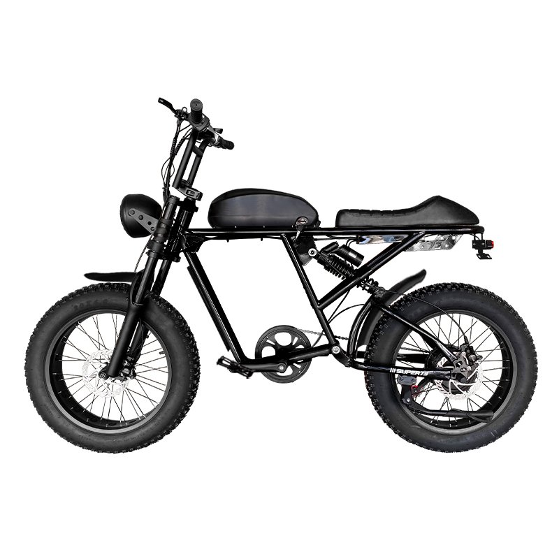 400w 1000w Long-distance All-terrain off-road electric bike Mountain Ebike Electric Bikes 2024 RX