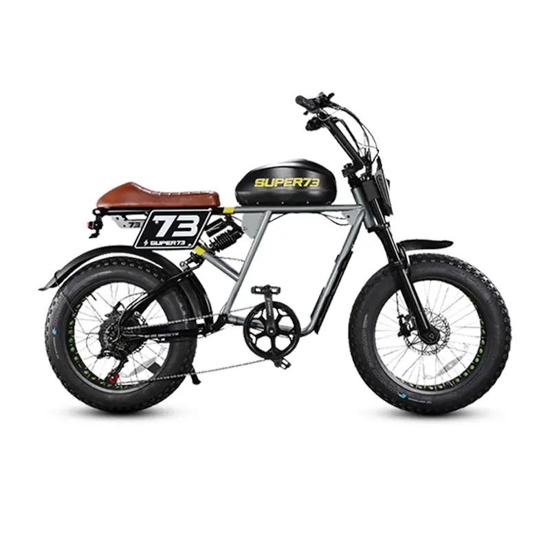 400w 1000w Long-distance All-terrain off-road electric bike Mountain Ebike Electric Bikes 2024 RX