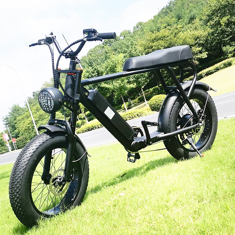 Hot Sale High Speed Long Range Fat Tire Electric City Bike Motorcycle