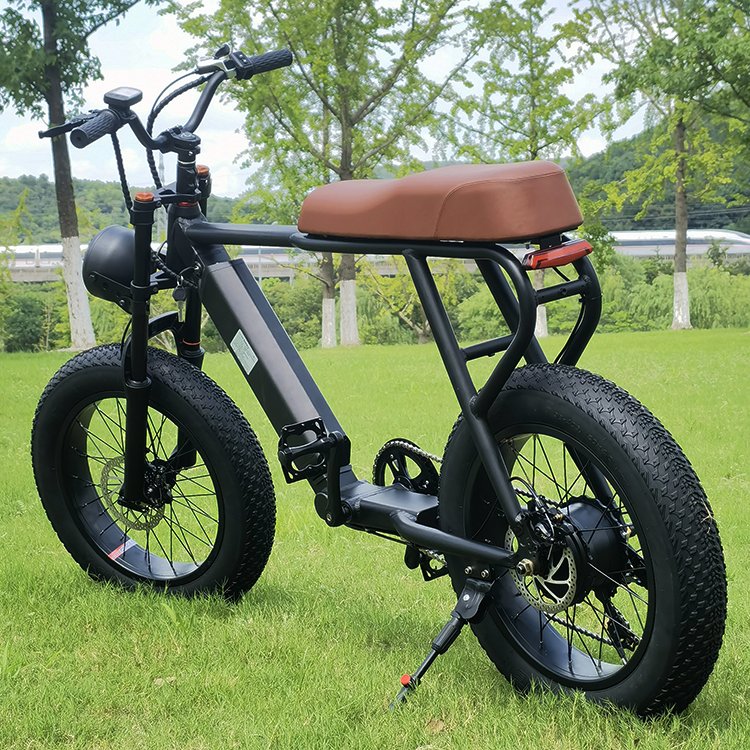 Hot Sale High Speed Long Range Fat Tire Electric City Bike Motorcycle