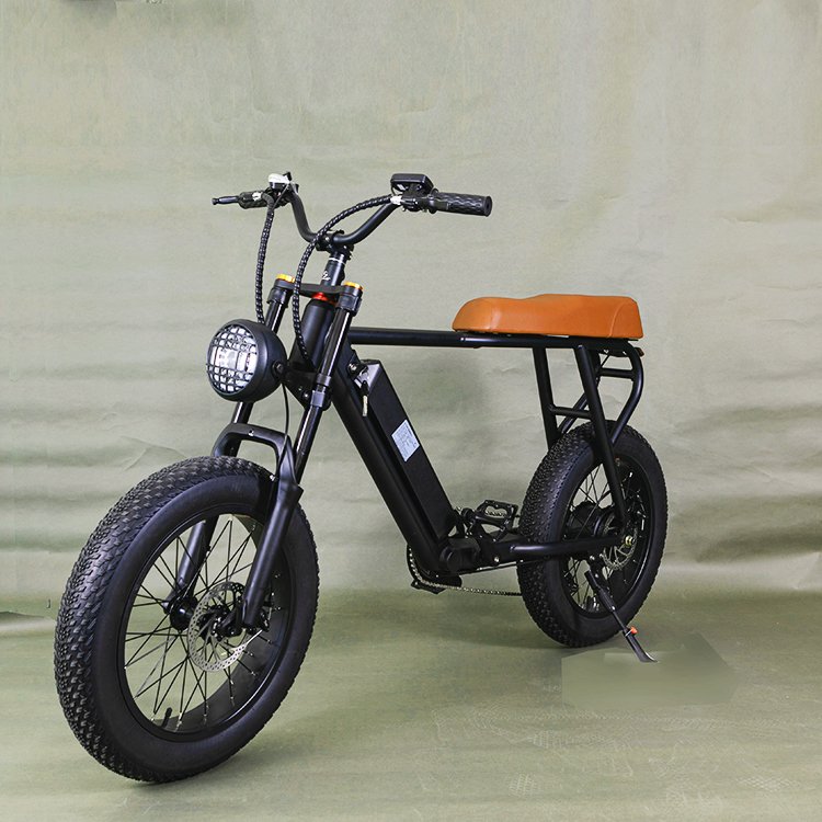 Hot Sale High Speed Long Range Fat Tire Electric City Bike Motorcycle