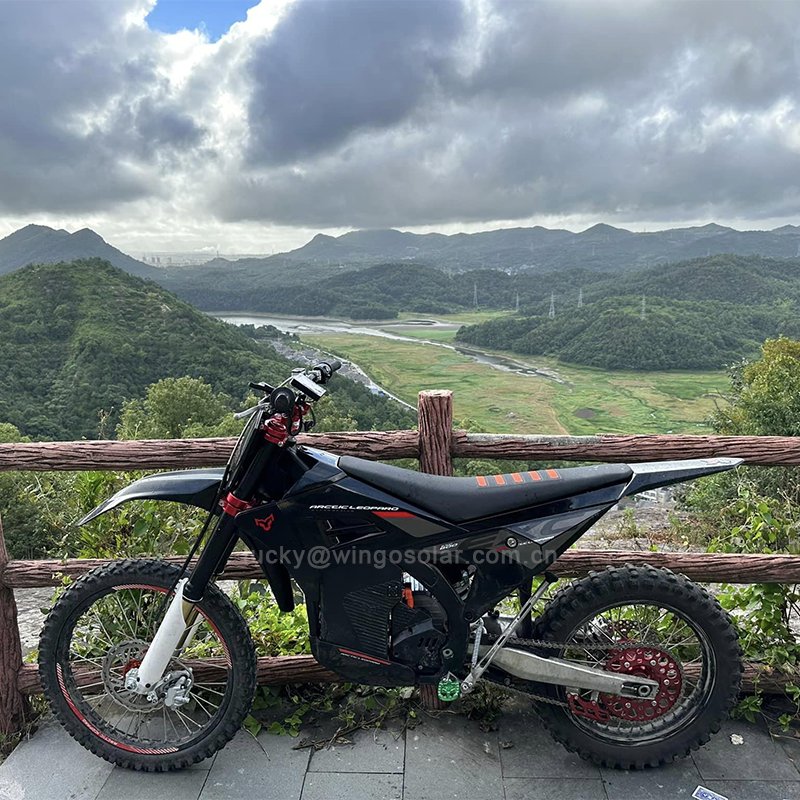 Original Electric Dirt Bike Racing Motocross High Speed E Motorcycle Arctic Leopard Cheetah EXE880 37KW 90V75AH