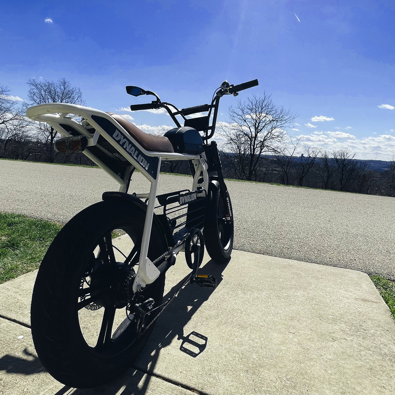 Electric Powerful Fat Tire Bike 1000W 48V 16Ah High Performance Electric Mountain Bike Adults Use Electric Bicycle
