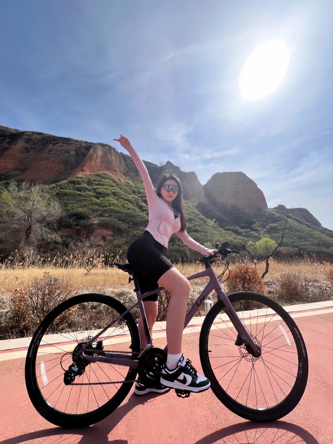 Wholesale and Highest Sales 26'' adult mountain bike carbon steel 21 speed mtb bike racing mountain bike for sale