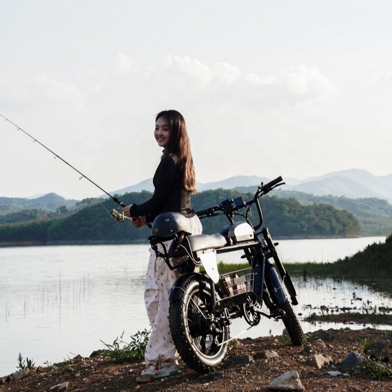 New Design Lithium Battery High Frictional Force 48v 750w Assist Electric Bicycle Mountain Bike