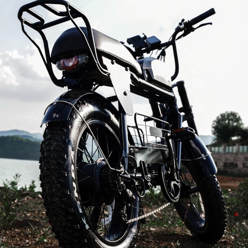 New Design Lithium Battery High Frictional Force 48v 750w Assist Electric Bicycle Mountain Bike