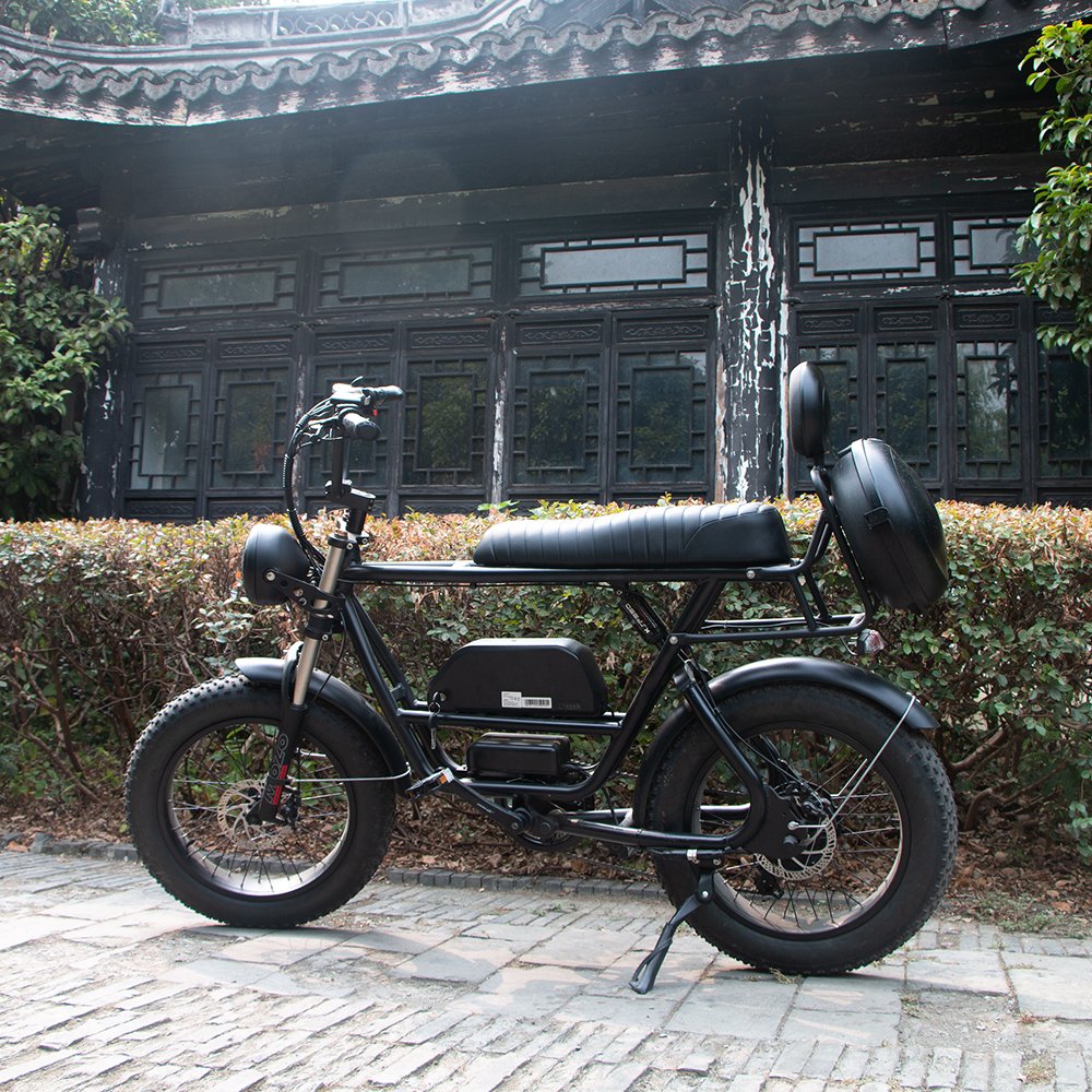 Long range suspension fork 20 inch Fat electric bicycle snow bike beach ebike high power 1000w motor