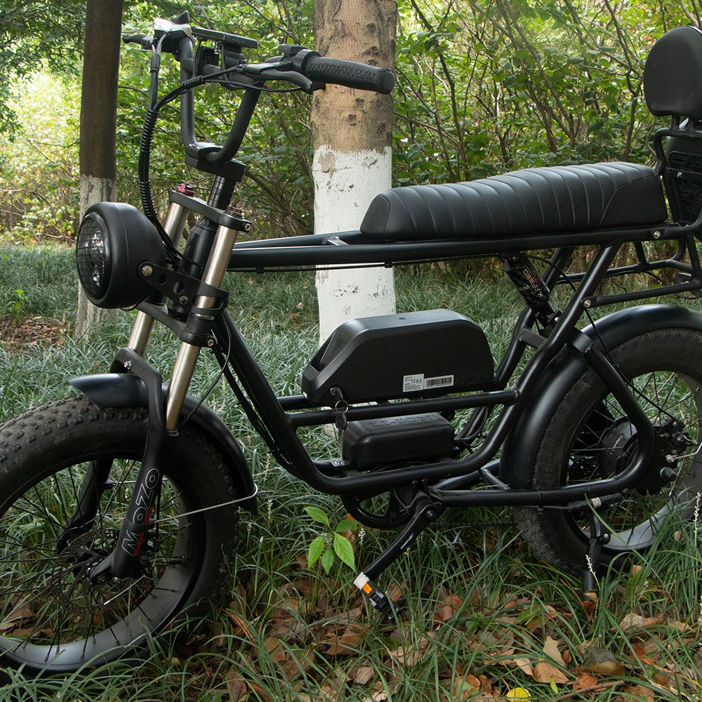 Long range suspension fork 20 inch Fat electric bicycle snow bike beach ebike high power 1000w motor