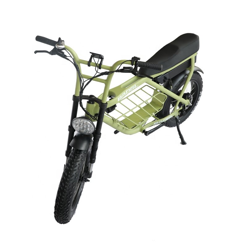 Super Power 1000W Motor 73 Model Electric Cycle Vintage Dual Motor Mountain Bike