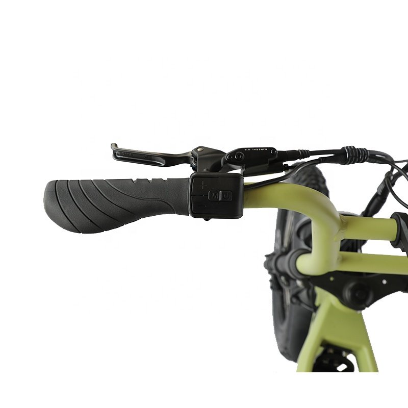 Super Power 1000W Motor 73 Model Electric Cycle Vintage Dual Motor Mountain Bike
