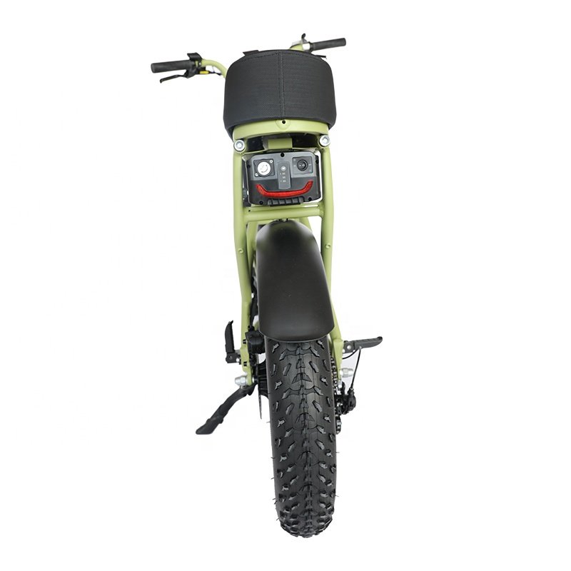 Super Power 1000W Motor 73 Model Electric Cycle Vintage Dual Motor Mountain Bike