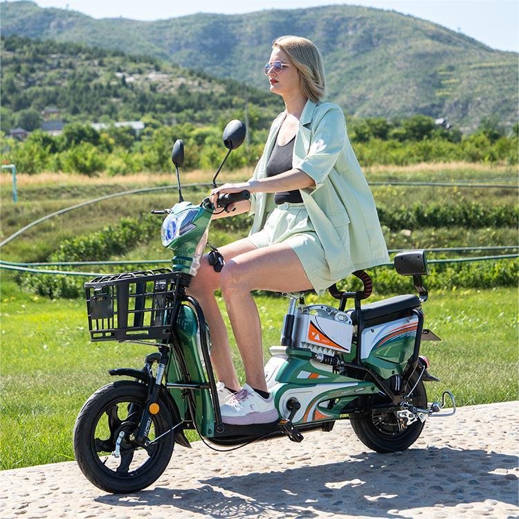 2023 High Quality 48V 350W New Design City Ebike Electric Bicycle Bikes For Adults