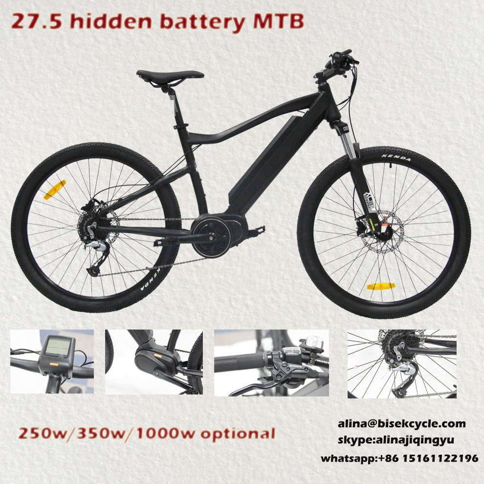 New Speed Mid Drive Motor Electric Mountain Bicycle bafang MTB E bike City Electric Bike 1000w hidden battery